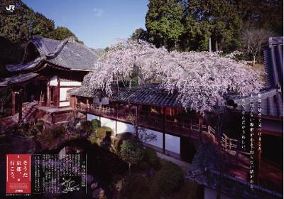 京都・十輪寺