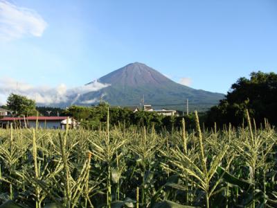 富士緑の休暇村