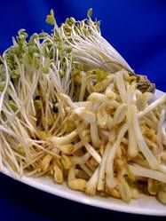おかずとおさけmoyashi別館