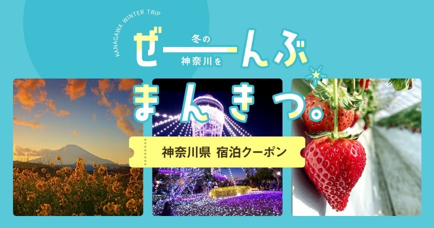 遊びにNS
