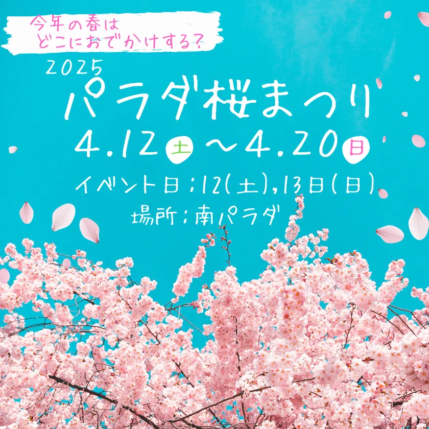 遊びにNS