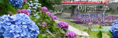 箱根町観光協会