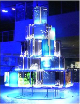 すみだ水族館 初のクリスマス 魚が泳ぐ水槽を積みあげた Aqua Tree も登場 遊びに行こうぜ