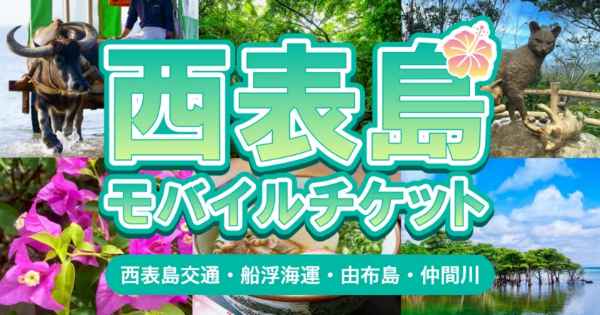 遊びにNS