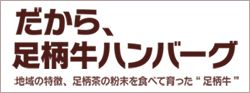 シルフ・コーポレーション